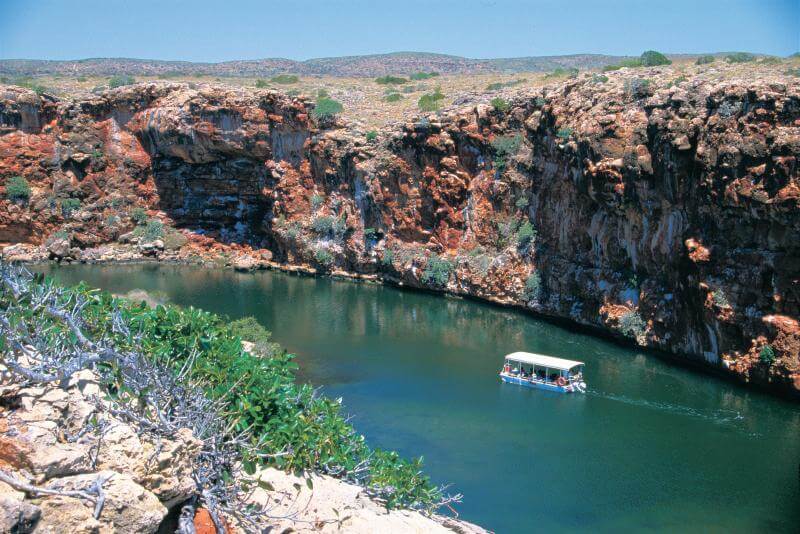 Yardie Creek Boat Tour Ningaloo Reef